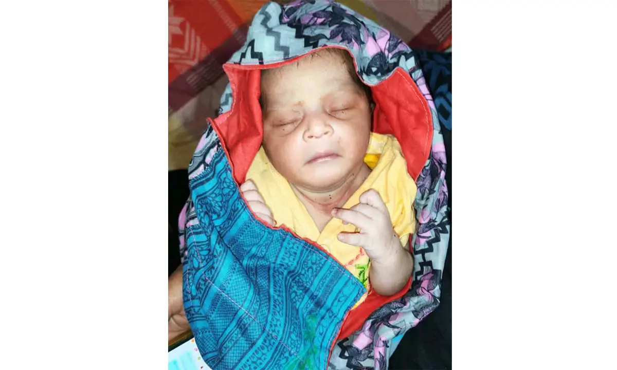 ফটিকছড়িতে জঙ্গলে মিলল সদ্যোজাত শিশু