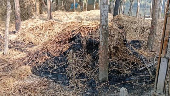 রাণীনগরে ১০টি খড়ের পালায় আগুন দিল দুর্বৃত্তরা