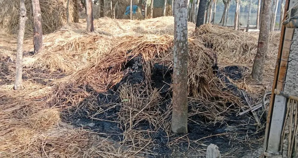 রাণীনগরে ১০টি খড়ের পালায় আগুন দিল দুর্বৃত্তরা