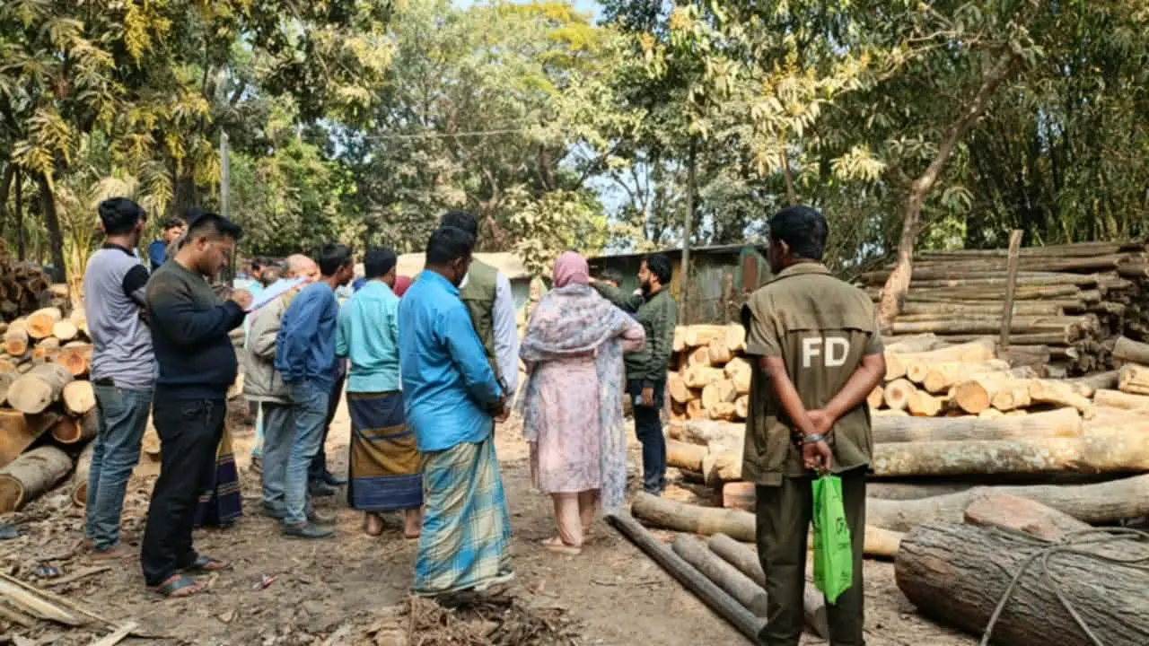 নাইক্ষ্যংছড়িতে সাত অবৈধ করাতকল বন্ধ, অর্থদণ্ড ও কাঠ জব্দ