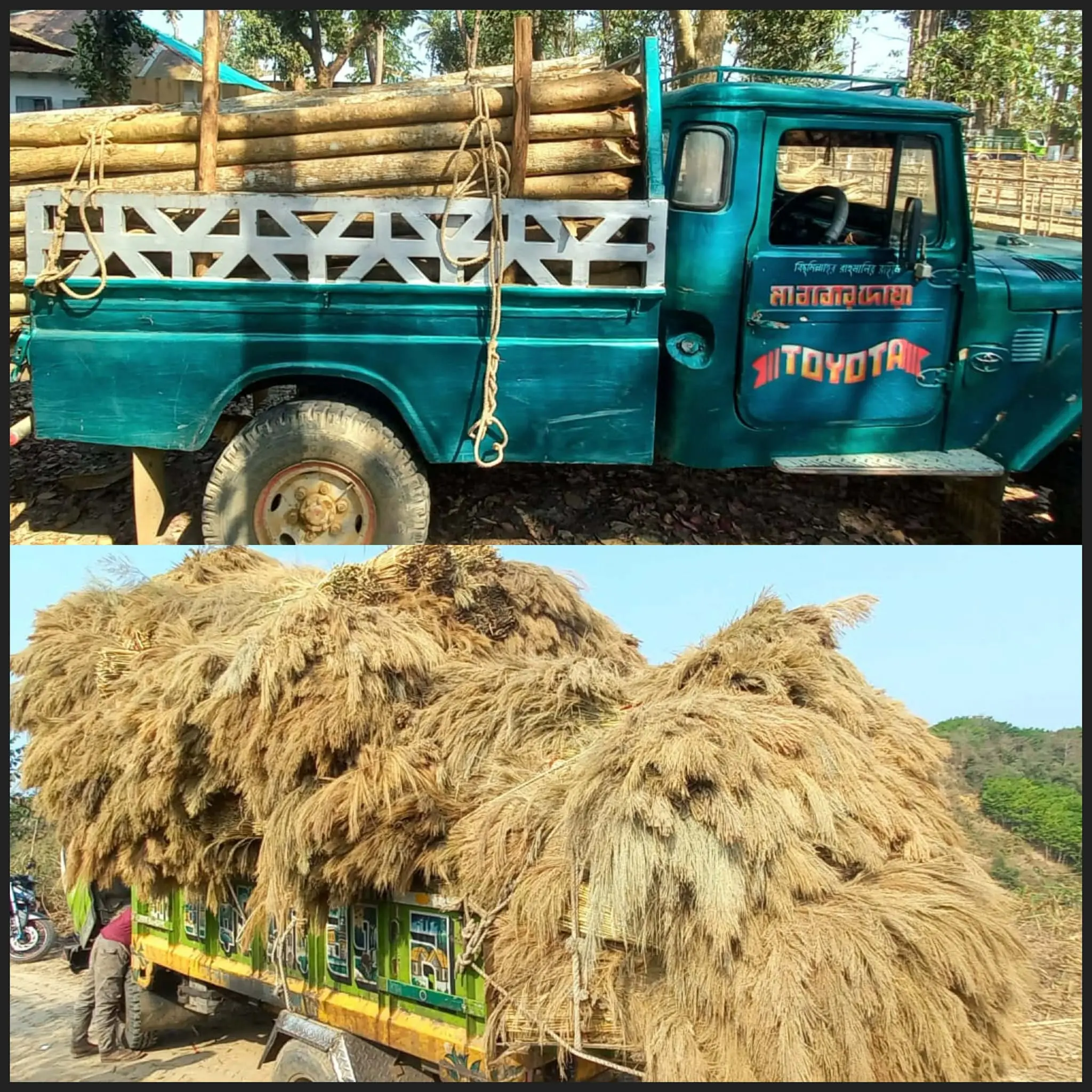 রাফি-উদ-দৌলা সরদারের নেতৃত্বে টংকাবতী রেঞ্জে টানা অভিযান: এক সপ্তাহে ২ গাড়িসহ বনজদ্রব্য জব্দ