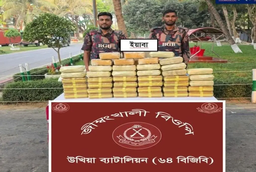কক্সবাজার সীমান্তবর্তী এলাকায় ৪ লক্ষ ২০ হাজার পিস ইয়াবা উদ্ধার করল ৬৪ বিজিবি