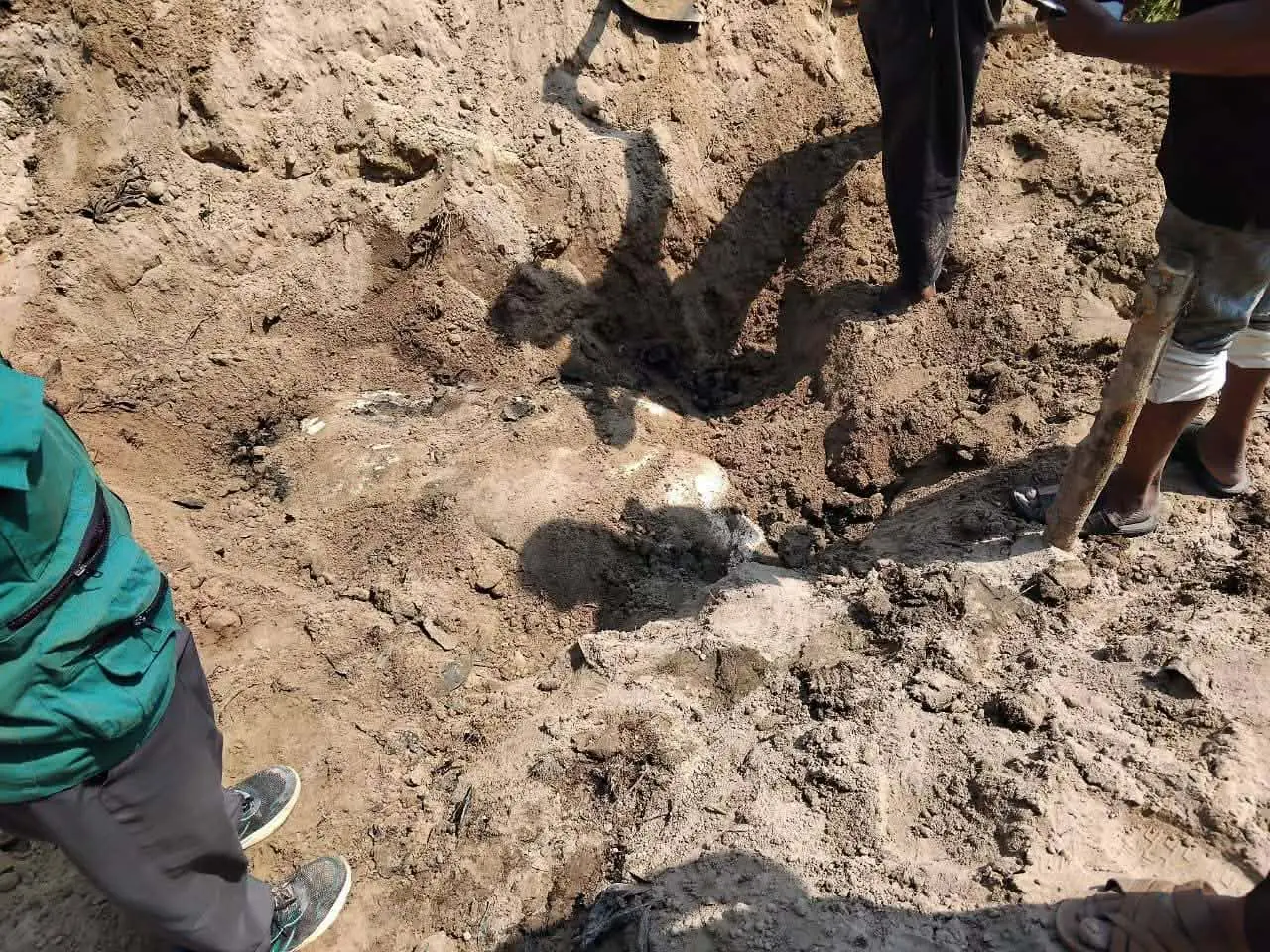 বনের ভেতরে হাতি গুম! এক মাস পর ফাঁস মাটিচাপা দিয়ে লুকানোর চেষ্টা ব্যর্থ