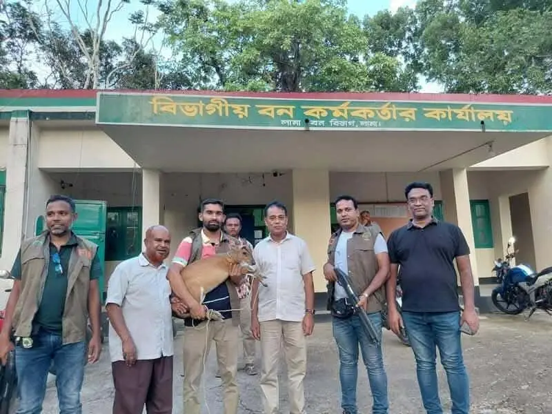 লামায় মায়া হরিণ উদ্ধার