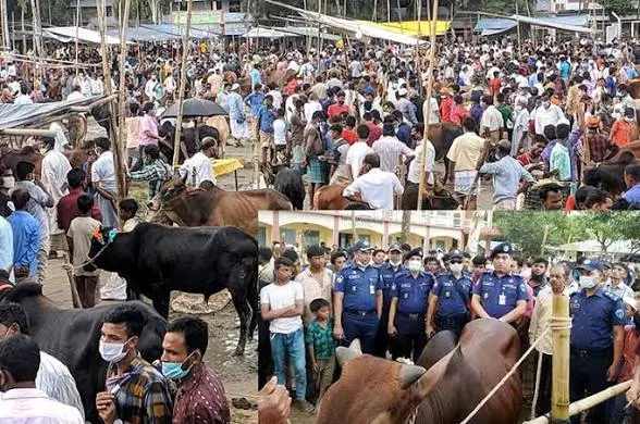 স্কুলমাঠে অস্থায়ী পশুর হাটের ইজারা বিজ্ঞপ্তি নিয়ে বিতর্ক, প্রশ্নের মুখে চকরিয়া উপজেলা প্রশাসন