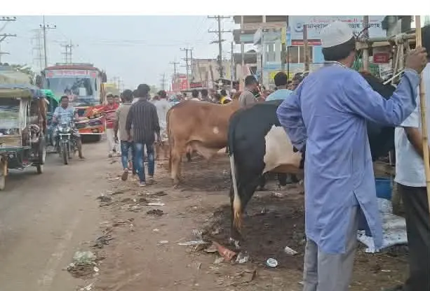 স্বরাষ্ট্র মন্ত্রণালয়ের নিষেধাজ্ঞা সত্ত্বেও ঈদগাঁওয়ে মহাসড়কের ওপরই পশুর হাট, বার্মিজ গরুর বৈধতা!