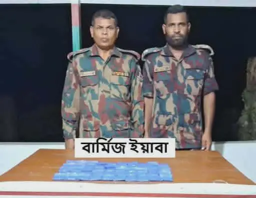 নাইক্ষ্যংছড়ি সীমান্ত এলাকার মেহেরপুর থেকে ইয়াবা উদ্ধার