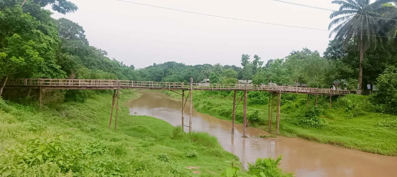 ৫৫ বছরেও সেতু নেই, টোলে সাঁকো পাড়ি ১০ গ্রামের মানুষ