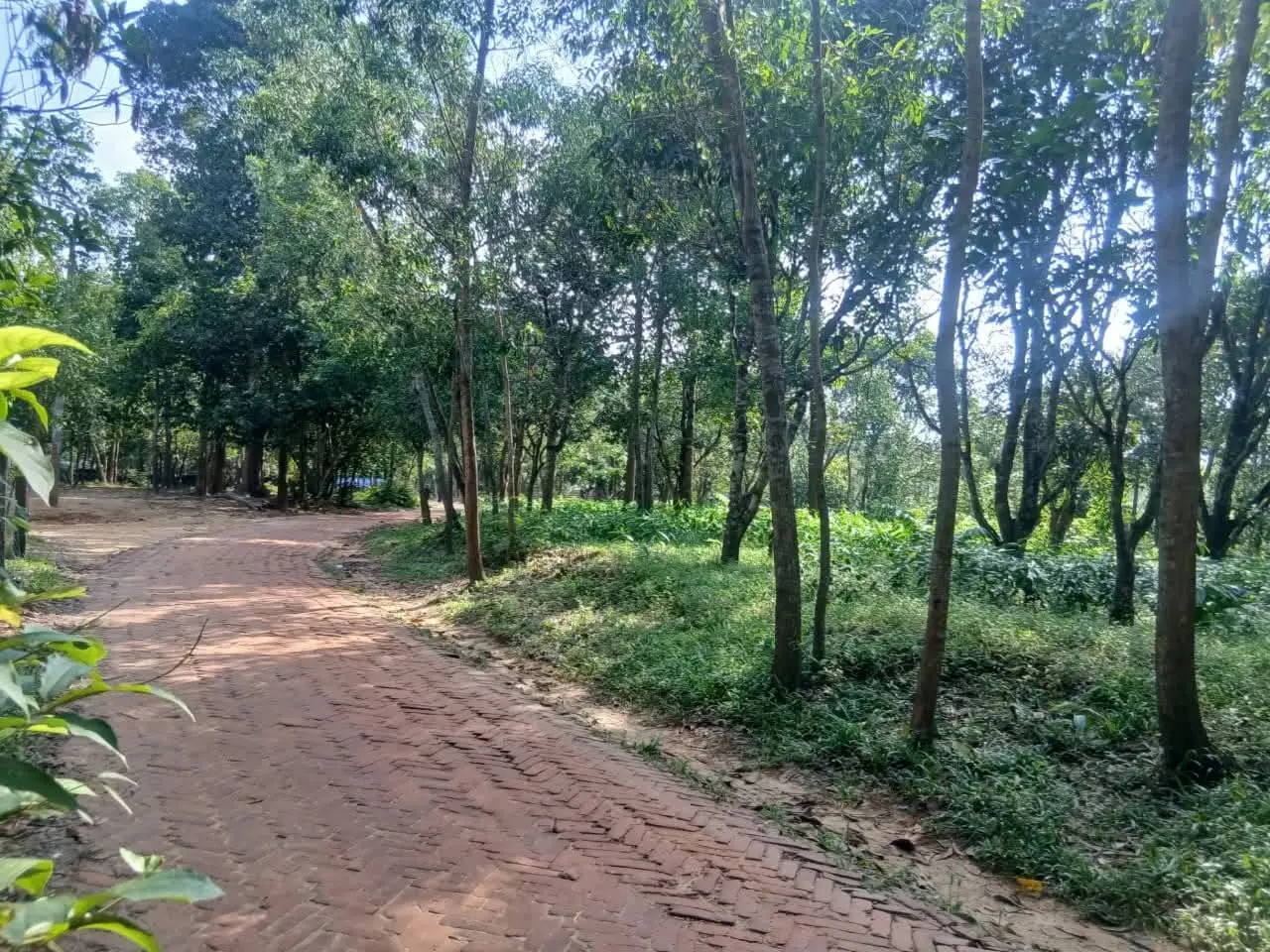 লামায় পৈতৃক সম্পত্তি জবরদখল ও অর্থ আত্মসাতের অভিযোগ বড় ভাইয়ের বিরুদ্ধে, দ্বারে দ্বারে ঘুরছেন ভুক্তভোগী নারী