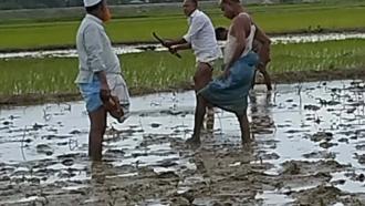 খুটাখালীতে সন্ত্রাসীদের চাঁদা না দেওয়ায় আমন চাষে বাধা, হামলা
