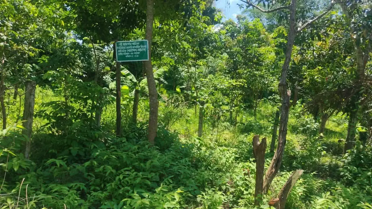 নাইক্ষ্যংছড়ির বাইশারীতে সভাপতি পদে হেরে বিদ্যালয়ের বিরুদ্ধে ষড়যন্ত্রের অভিযোগ