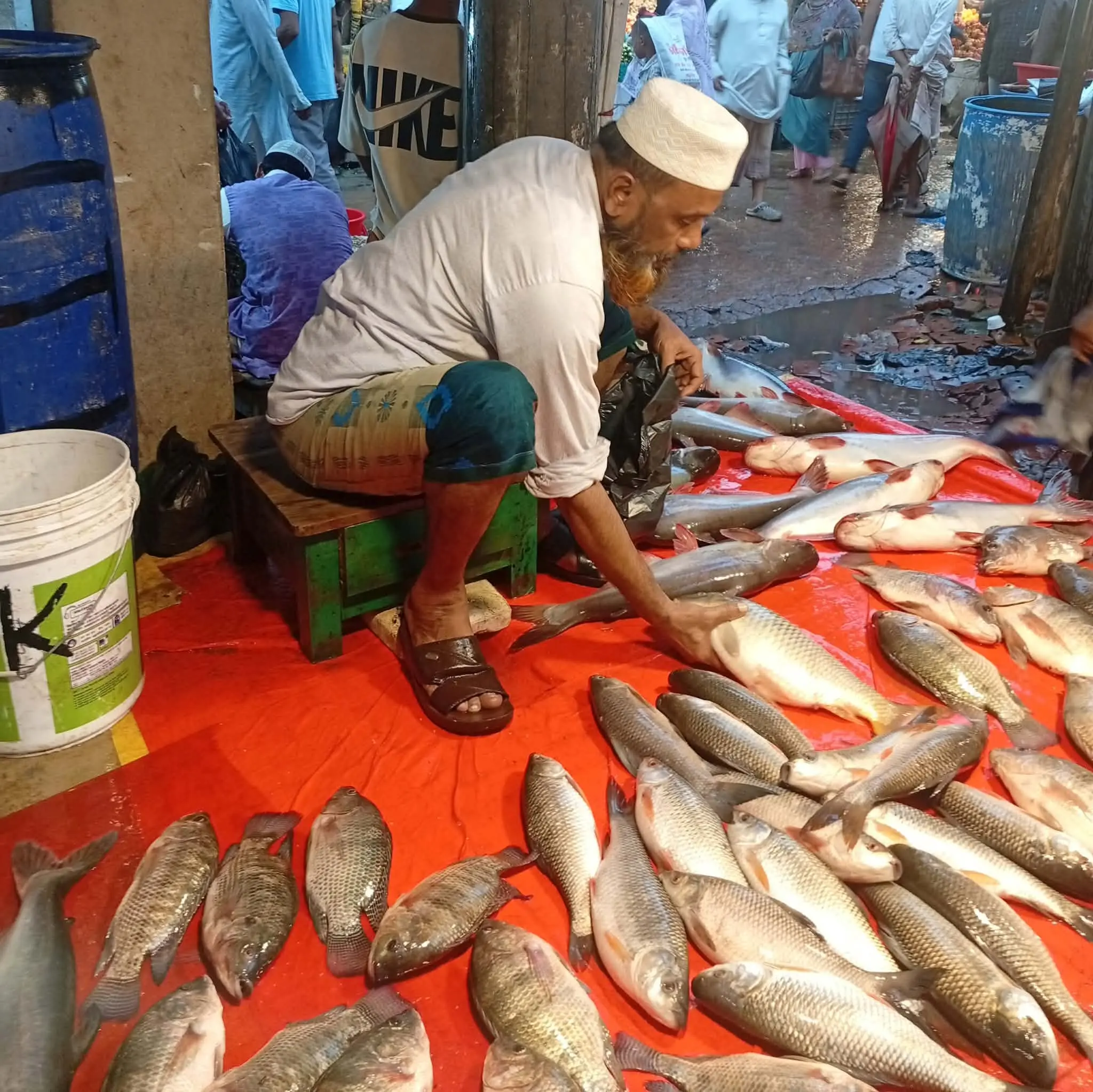পটিয়ায় সবজির দাম কমলেও মাছের বাজার চড়া