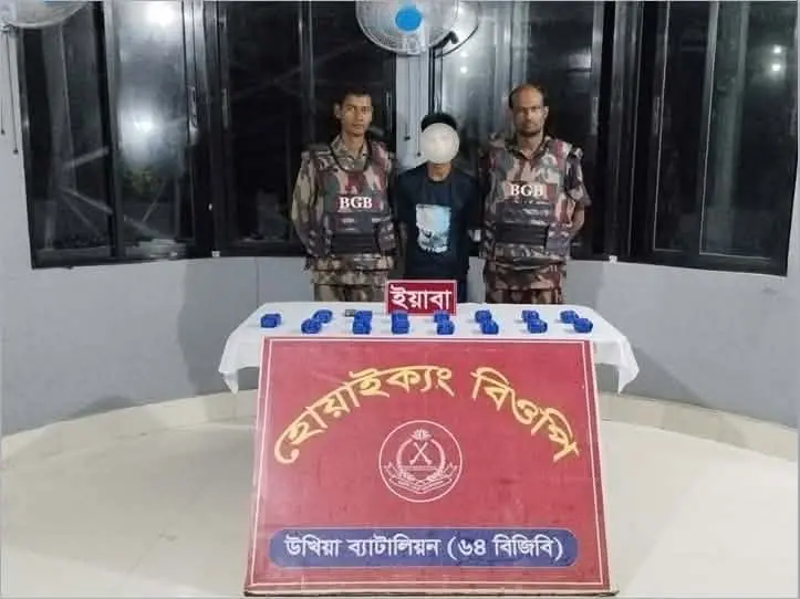 টেকনাফে বিজিবির অভিযানে ৩০ হাজার ইয়াবাসহ রোহিঙ্গা যুবক আটক