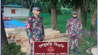 নাইক্ষ্যংছড়িতে বিজিবির অভিযানে ৫৩ লাখ টাকার অবৈধ কাঠ জব্দ