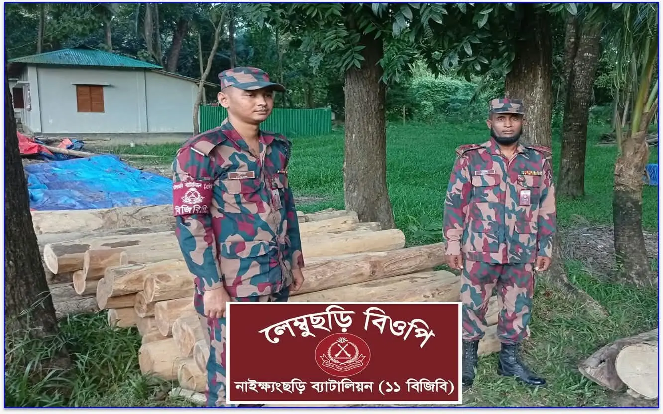নাইক্ষ্যংছড়িতে বিজিবির অভিযানে ৫৩ লাখ টাকার অবৈধ কাঠ জব্দ