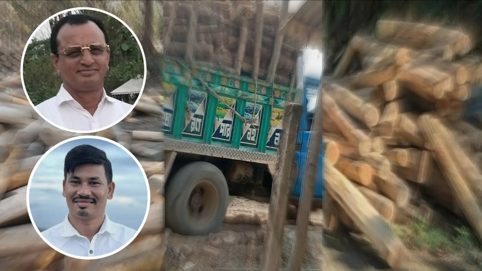 ধারাবাহিক পর্ব ১: রোয়াংছড়িতে বন উজাড়ের মহোৎসব: রেঞ্জ কর্মকর্তার ছত্রছায়ায় কমল তঞ্চঙ্গ্যার কাঠ পাচার সিন্ডিকেটের অভিযোগ