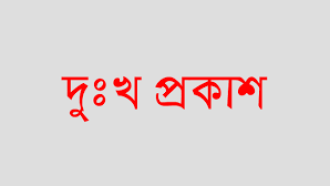 সংশোধনী
