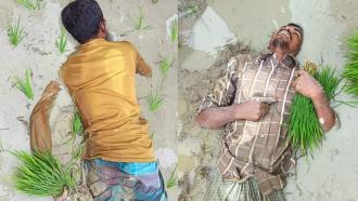 ফটিকছড়িতে বিদ্যুতের তারে জড়িয়ে দুই কৃষকের মর্মান্তিক মৃত্যু