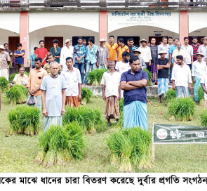 মিরসরাইয়ে বন্যায় ক্ষতিগ্রস্থ ১’শ কৃষকের মাঝে দুর্বারের ধানের চারা বিতরণ