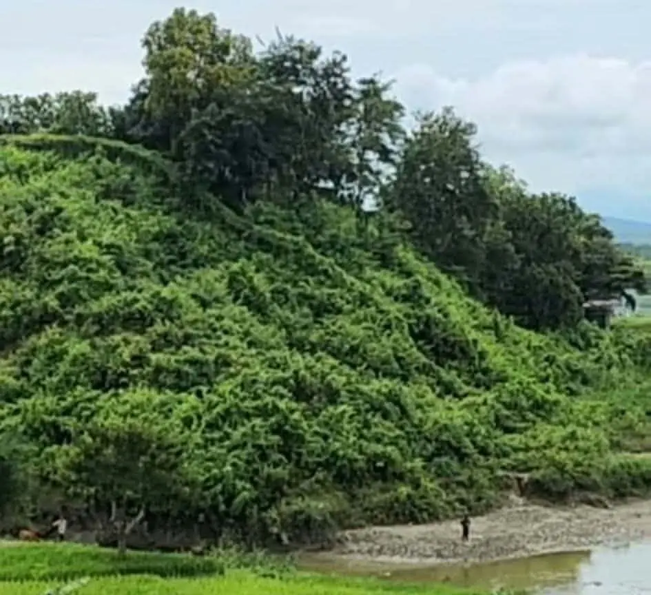 নাইক্ষ্যংছড়ি সীমান্তে চোরাচালান ও অবৈধ অনুপ্রবেশ প্রতিরোধে বিজিবির সর্বোচ্চ তৎপরতা