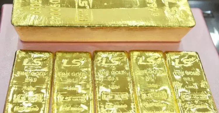 সোনা কিনে জঙ্গলে রাখলেই ‘লাভ’, ফাঁদে পড়ে সঞ্চয় হারাচ্ছে মানুষ