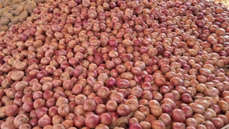 প্রথম রোজাতেই চড়া পেঁয়াজের দাম, কেজিতে বাড়ল ১০-১৫ টাকা