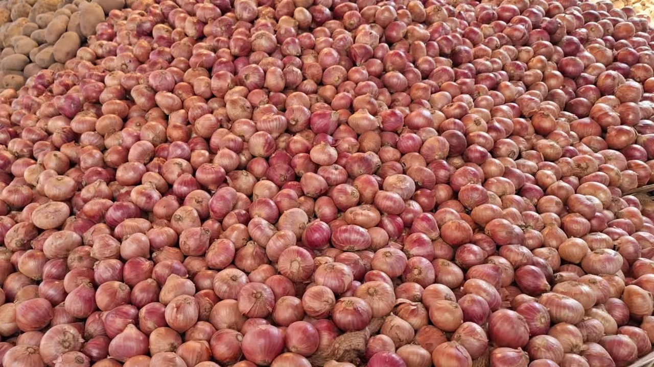 প্রথম রোজাতেই চড়া পেঁয়াজের দাম, কেজিতে বাড়ল ১০-১৫ টাকা