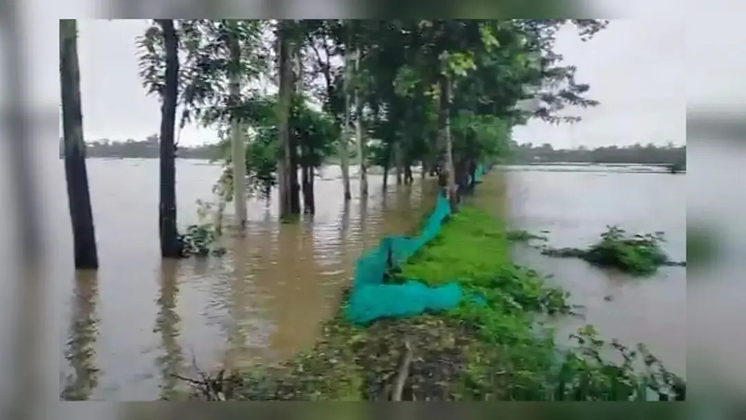 চট্টগ্রামে বন্যায় তলিয়ে গেল মাছের ঘের-পুকুর, মৎস্য খাতে বড় ধাক্কা
