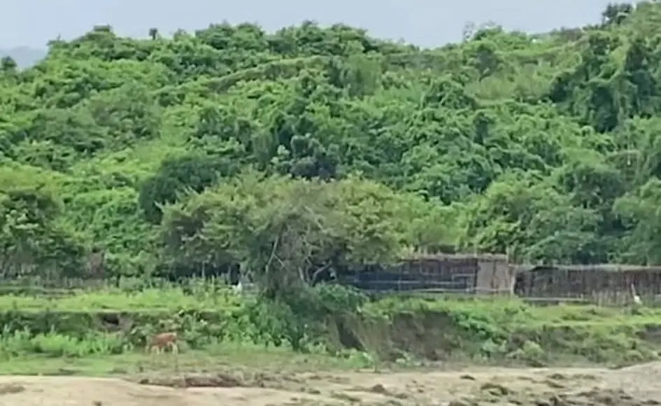 নাইক্ষ্যংছড়ি সীমান্ত এলাকায় তৃতীয় দিনেও এলো ২ বিস্ফোরণ বিকট শব্দ