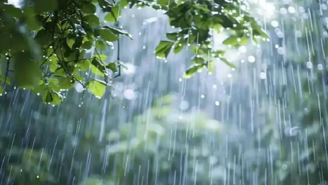 আগামী ৫ দিন দেশজুড়ে বৃষ্টির আভাস